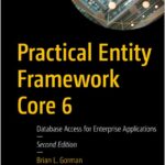 Practical Entity Framework Core 6