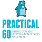 Practical Go