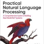 Practical Natural Language Processing