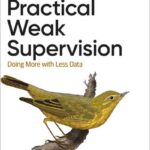Practical Weak Supervision