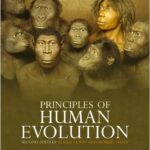 Principles of Human Evolution