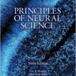 Principles of Neural Science