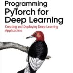 Programming PyTorch for Deep Learning