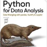 Python for Data Analysis