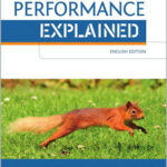 SQL Performance Explained