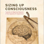 Sizing Up Consciousness