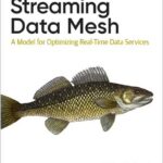 Streaming Data Mesh