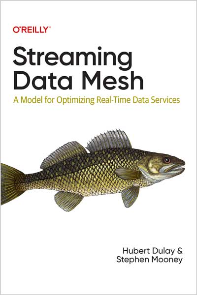 Streaming-Data-Mesh_hZ1696526012 Streaming Data Mesh - تصویر 1