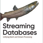 Streaming Databases