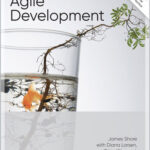 The Art of Agile Development