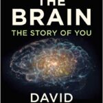 The Brain