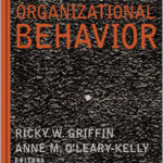 The Dark Side of Organizational Behavior