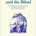 The Elephant and the Blind