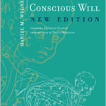 The Illusion of Conscious Will