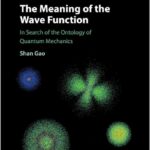 The Meaning of the Wave Function