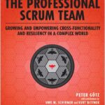 The Professional Scrum Team