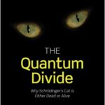 The Quantum Divide