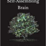 The Self-Assembling Brain