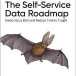 The Self-Service Data Roadmap