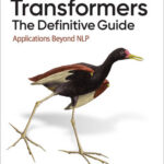 Transformers: The Definitive Guide