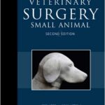 Veterinary Surgery Small Animal
