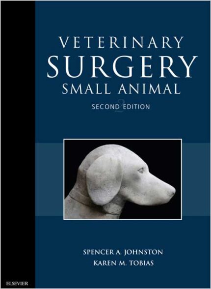 Veterinary Surgery Small Animal
