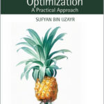 Web Performance Optimization