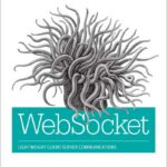 WebSocket