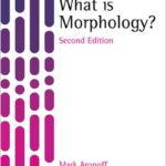 What is Morphology?