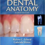 Woelfel's Dental Anatomy