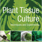 Plant Tissue Culture